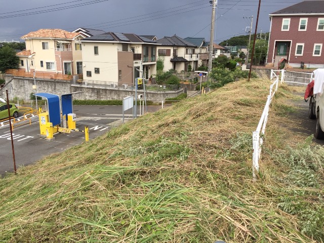 草刈り – 神奈川県三浦市で駐車場の草刈り工事風景