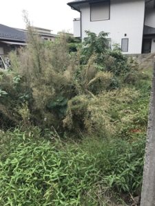 草刈り – 東京都東久留米市で更地・空き地の草刈り風景