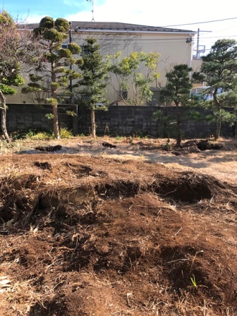 神奈川県逗子市桜山　-　庭木・植木・庭石の解体撤去と処分工事(お庭のリフォーム)のビフォー写真11