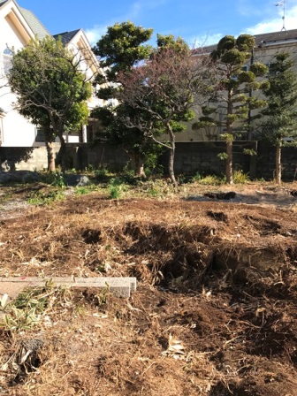神奈川県逗子市桜山　-　庭木・植木・庭石の解体撤去と処分工事(お庭のリフォーム)のビフォー写真12