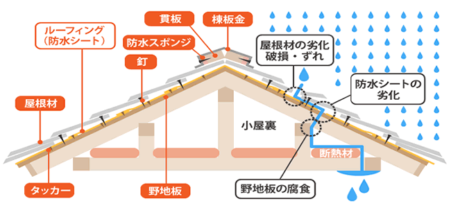 家屋の屋根の構造図（イラスト）
